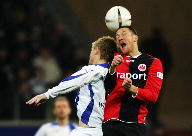 导致他们在 导致他们在